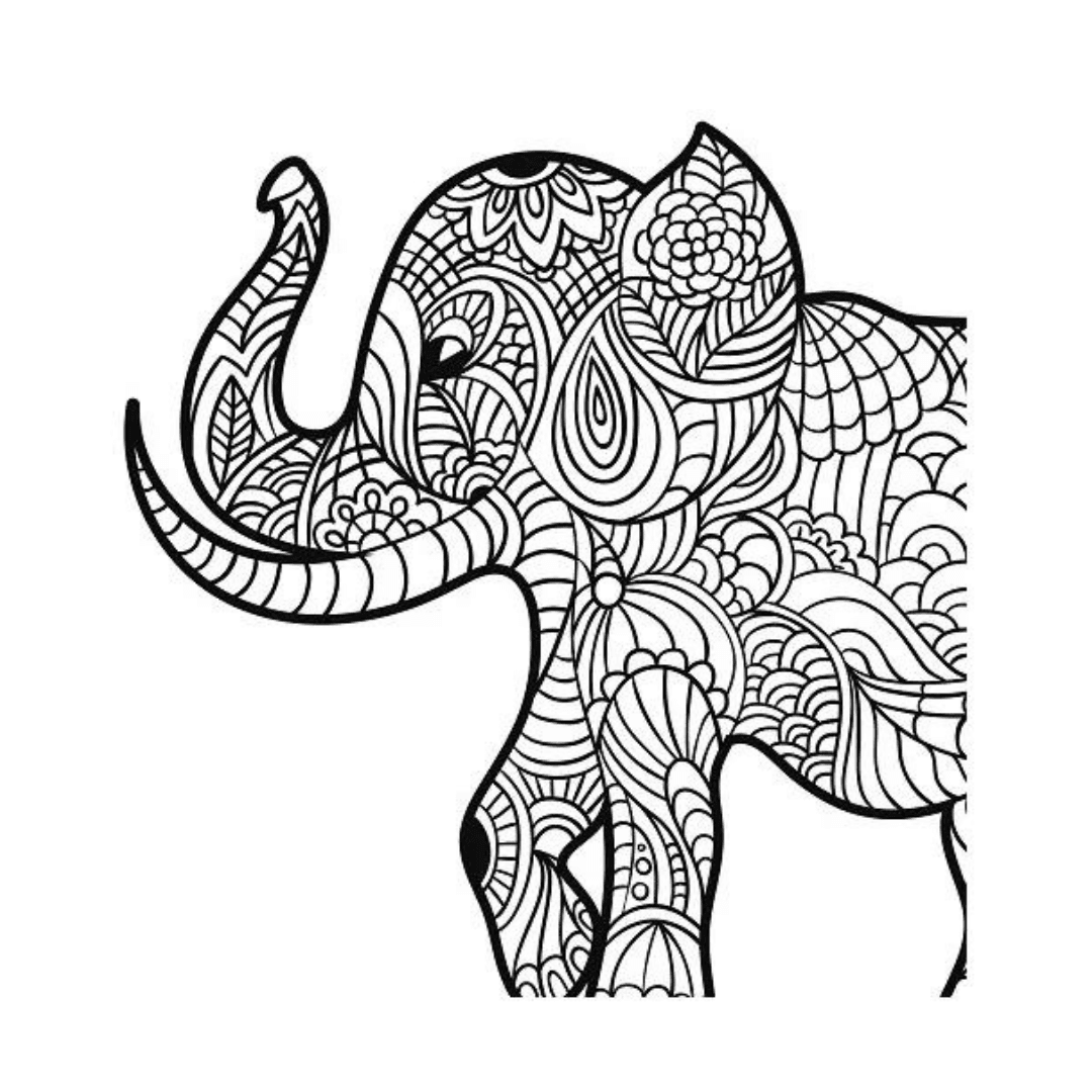 Libro Animales Espirituales para pintar