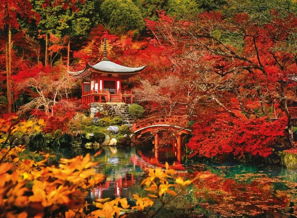 Puzzle 1500 Piezas Clementoni Autumn Park