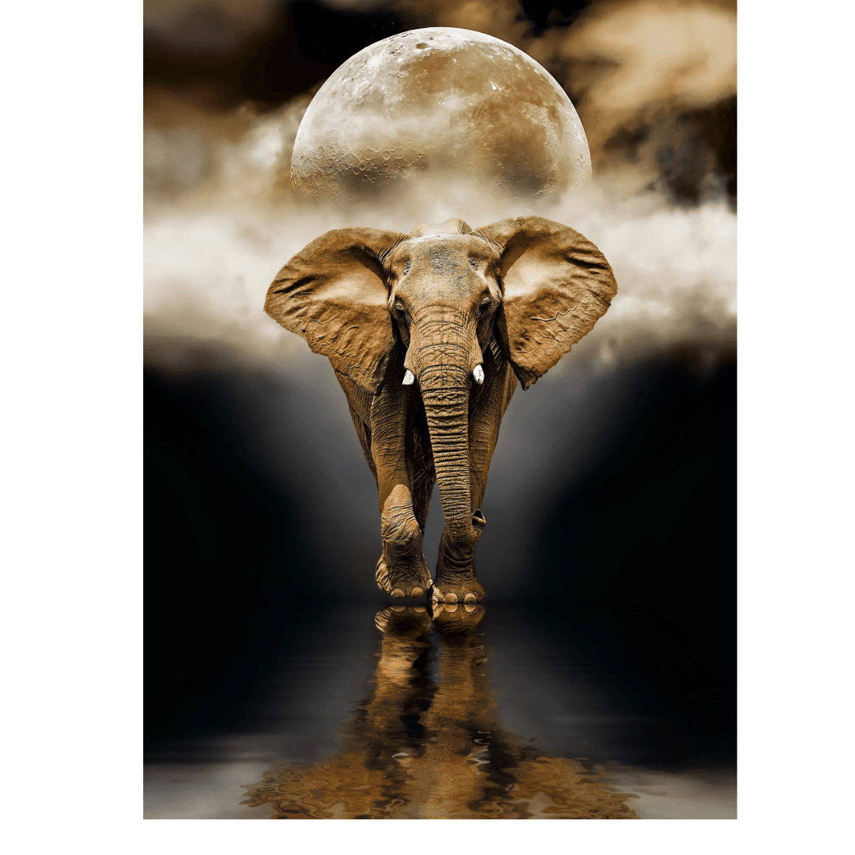 Puzzle Clementoni 1000 Piezas - Elefante